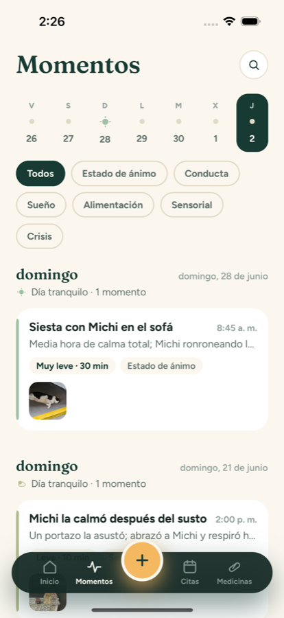 Línea de momentos: cada día con su clima y sus notas, con foto